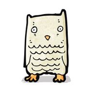 Cartoon Owl N55