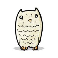Cartoon Owl N56