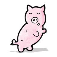 Cartoon Pig N36