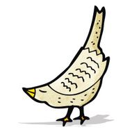 cartoon bowing bird
