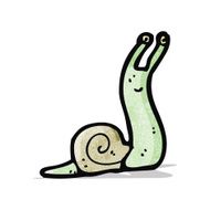 Cartoon Snail N35
