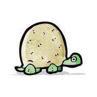 Cartoon Tortoise N9