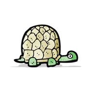 Cartoon Tortoise N10