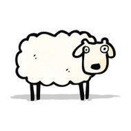 Cartoon Sheep N24