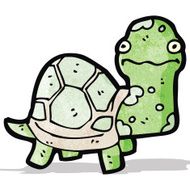 Cartoon Tortoise N11