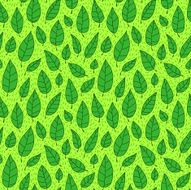 Green fallen leaves