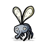 Cartoon Fly N14