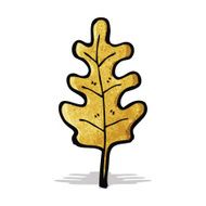 Cartoon Leaf N26