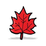 Cartoon Leaf N27