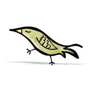 Cartoon Bird N51