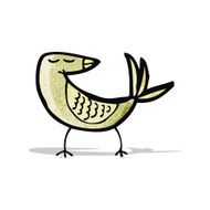 Cartoon Bird N55