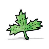 Cartoon Leaf N29