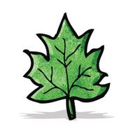 Cartoon Leaf N30