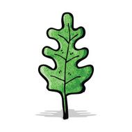 Cartoon Leaf N32