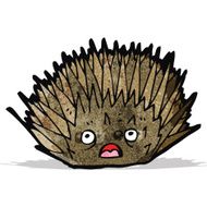 Cartoon Hedgehog N12