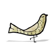 Cartoon Bird N58