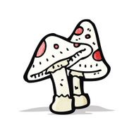 cartoon toadstool N13