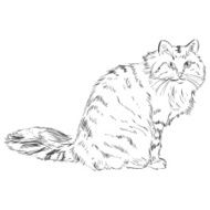 Vector Sketch Cat N9