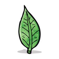 Cartoon Leaf N33