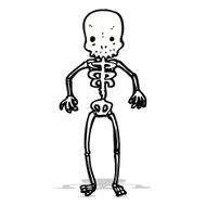 Cartoon Skeleton N7