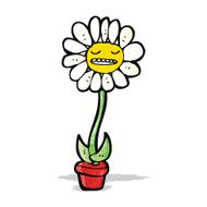 flower cartoon character N10