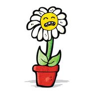 flower cartoon character N11