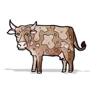 Cartoon Cow N39