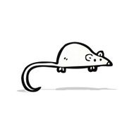 cartoon white mouse N6