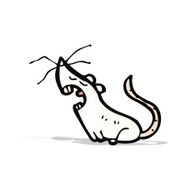cartoon white mouse N8
