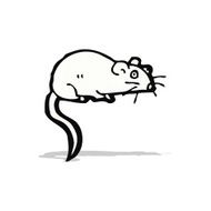 cartoon white mouse N11