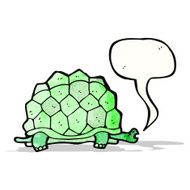 Cartoon Giant Tortoise