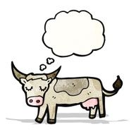 Cartoon Cow N40