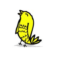 cartoon singing bird N5