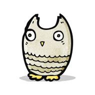 Cartoon Little Owl N6
