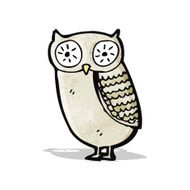 Cartoon Little Owl N9