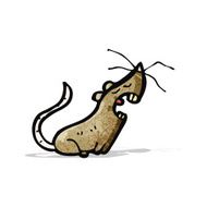 Cartoon Mouse N26