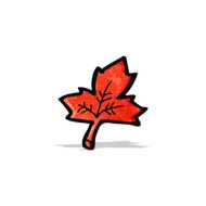 Cartoon Leaf N35
