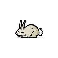 Cartoon Bunny Rabbit N14