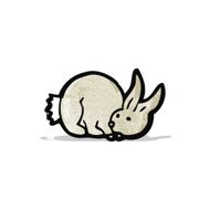 Cartoon Bunny Rabbit N15