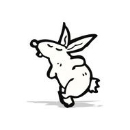 cartoon white rabbit N3