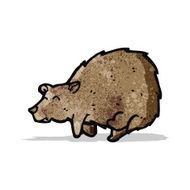Cartoon Bear N30