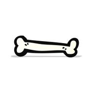 Cartoon Bone N10