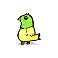 Cartoon Parrot N9