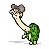 Cartoon Tortoise N12