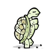 dancing tortoise cartoon