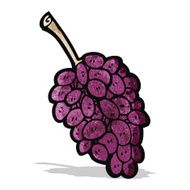 Cartoon Grapes N3
