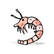 Cartoon Shrimp N11