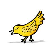 Cartoon Bird N61