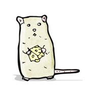 Cartoon Mouse With Cheese N10