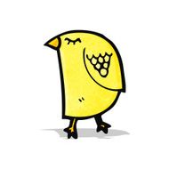 Cartoon Bird N62